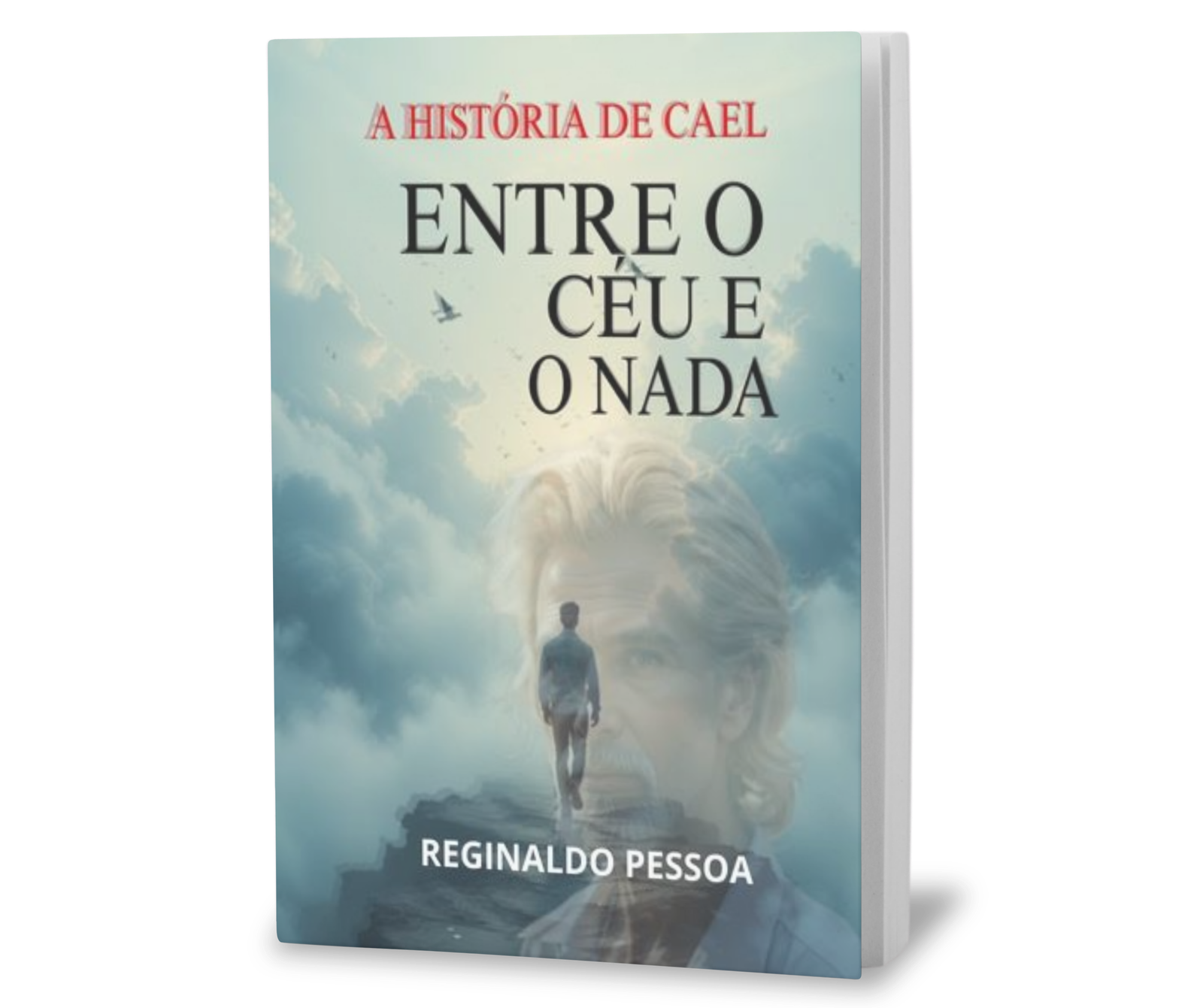 Entre o Céu e o Nada — Reginaldo Pessoa