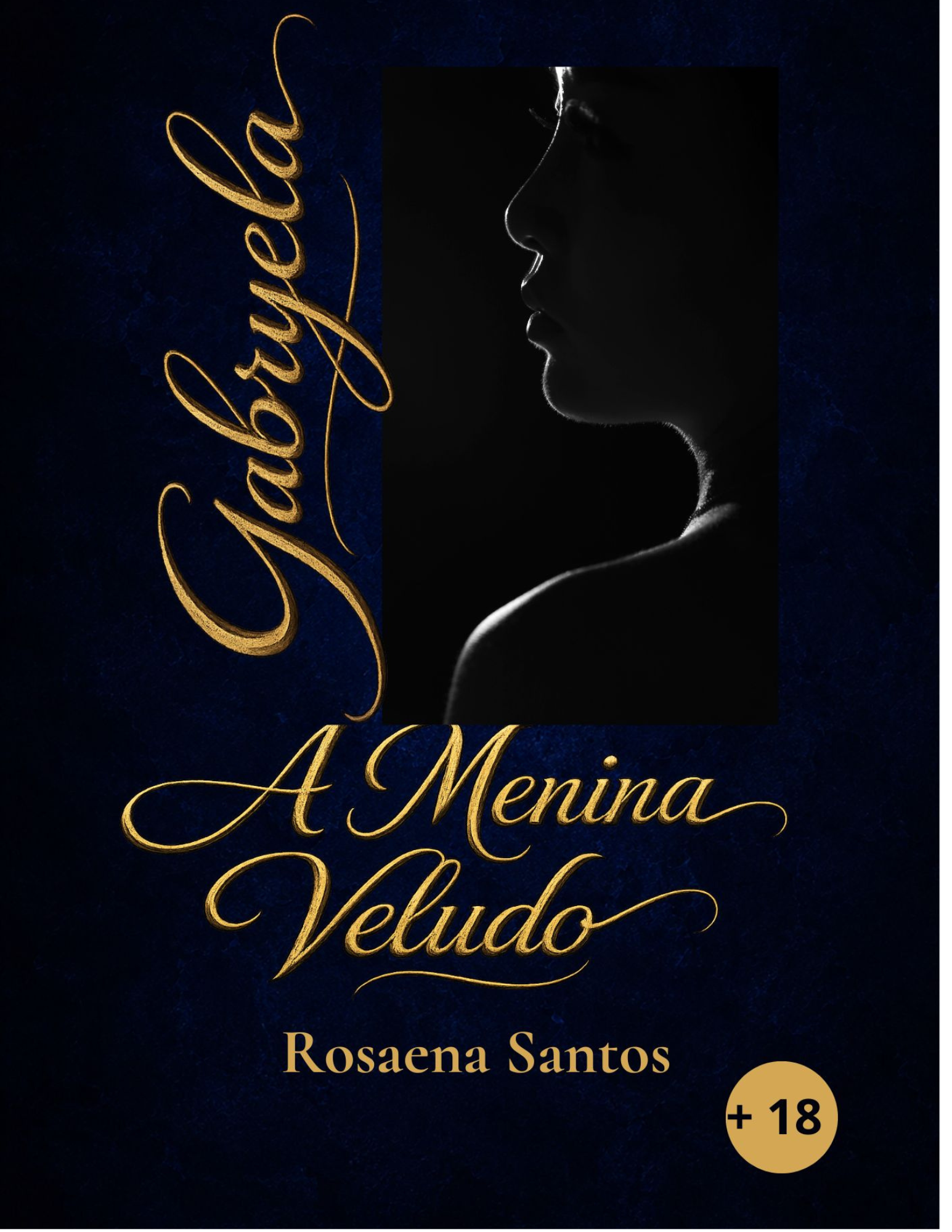 Capa do livro Gabryela a Menina Veludo - Rosaena Santos
